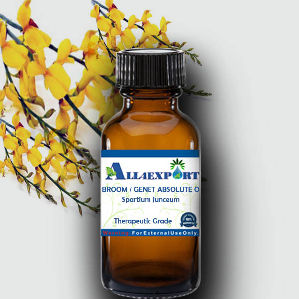 BROOM / GENET ABSOLUTE OIL